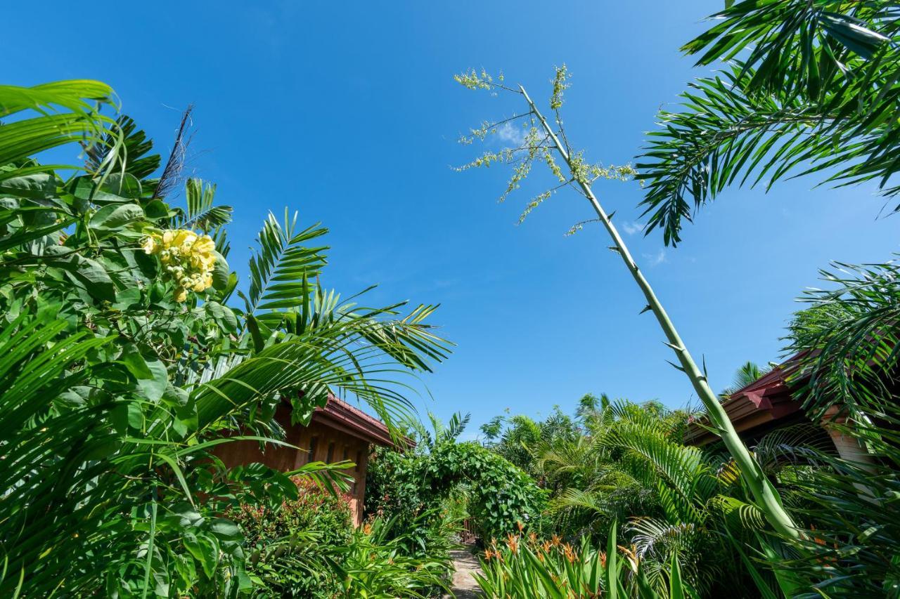 D Canal House Mirissa Exterior photo